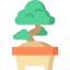 Bonsai 상 64x64