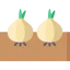 Onion 상 64x64