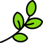 Branch 图标 64x64