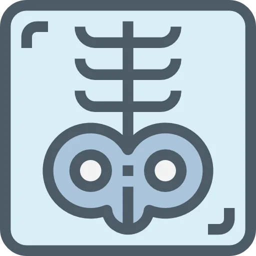 X rays icon