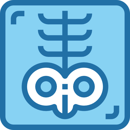 X rays icon
