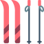 Skis icon 64x64