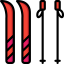 Skis icon 64x64