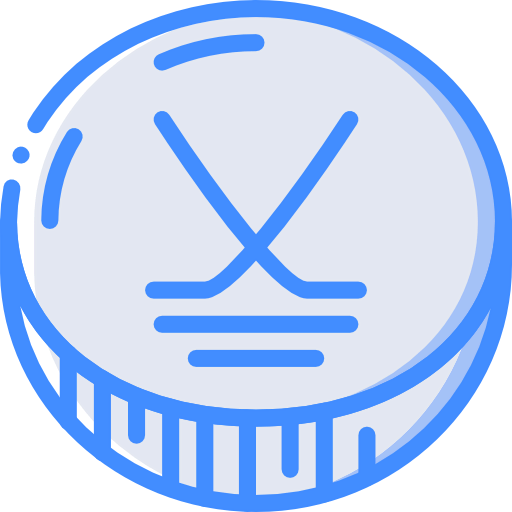 Puck icon