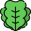 Lettuce 상 64x64