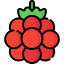 Raspberry ícono 64x64
