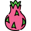 Dragon fruit icon 64x64