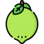 Lime 상 64x64