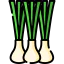 Spring onion Ikona 64x64