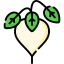 Turnip Ikona 64x64