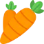 Carrot icon 64x64
