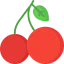 Cherry icon 64x64
