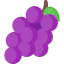 Grape icon 64x64