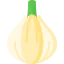 Garlic icon 64x64