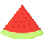 Watermelon icon 64x64