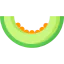 Melon icon 64x64