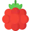 Raspberry ícono 64x64