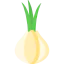 Onion icon 64x64