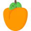 Peach icon 64x64