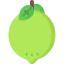 Lime icon 64x64