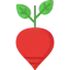 Beetroot icon 64x64