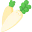 Radish icon 64x64