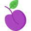 Plum icon 64x64