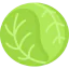 Cabbage icon 64x64