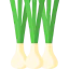 Spring onion Ikona 64x64