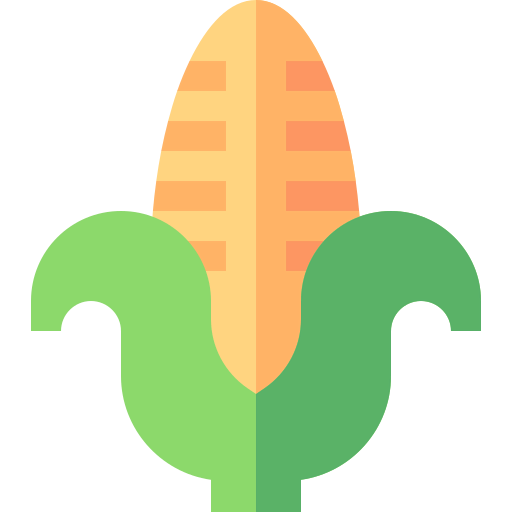 Corn icon