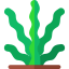 Seaweed icon 64x64