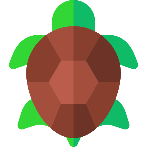 Turtle 상