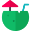 Coconut water icon 64x64