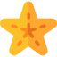 Starfish ícono 64x64