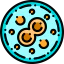 Bacteria icon 64x64