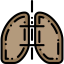 Lungs icon 64x64