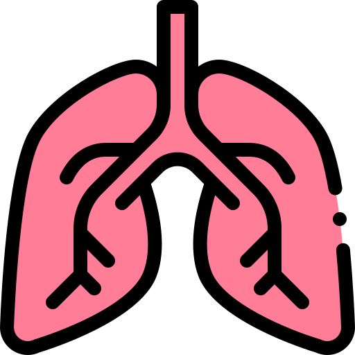 Lungs biểu tượng