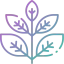Herbal icon 64x64