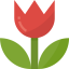 Macro icon 64x64