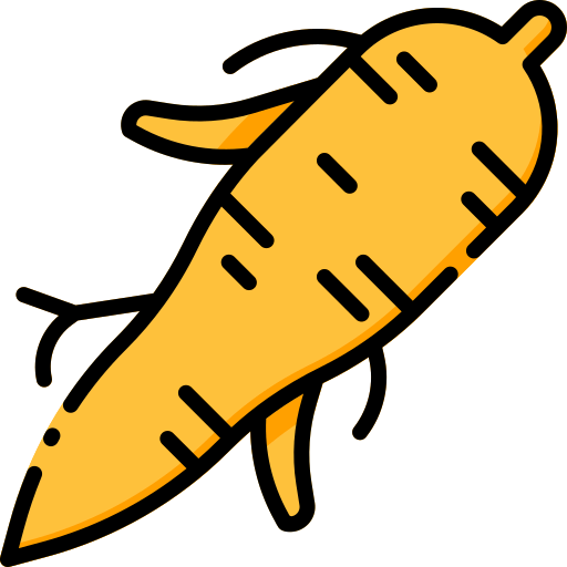 Ginseng icon
