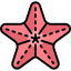 Starfish icon 64x64