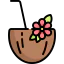 Coconut icon 64x64