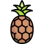 Pineapple icon 64x64