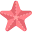 Starfish icon 64x64