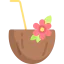 Coconut icon 64x64