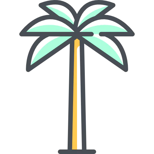 Palm tree アイコン