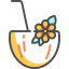 Coconut icon 64x64