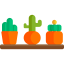 Cactus 图标 64x64