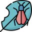 Pest アイコン 64x64