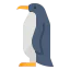 Penguin icône 64x64